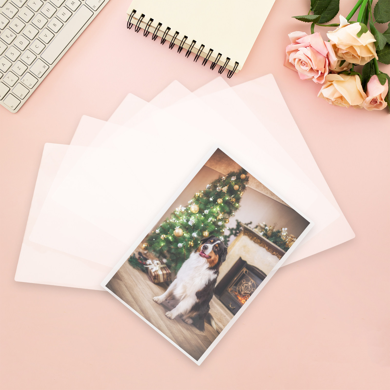 100Pcs Laminating Pouches for  - Document Laminator Pouch のレビューと価格